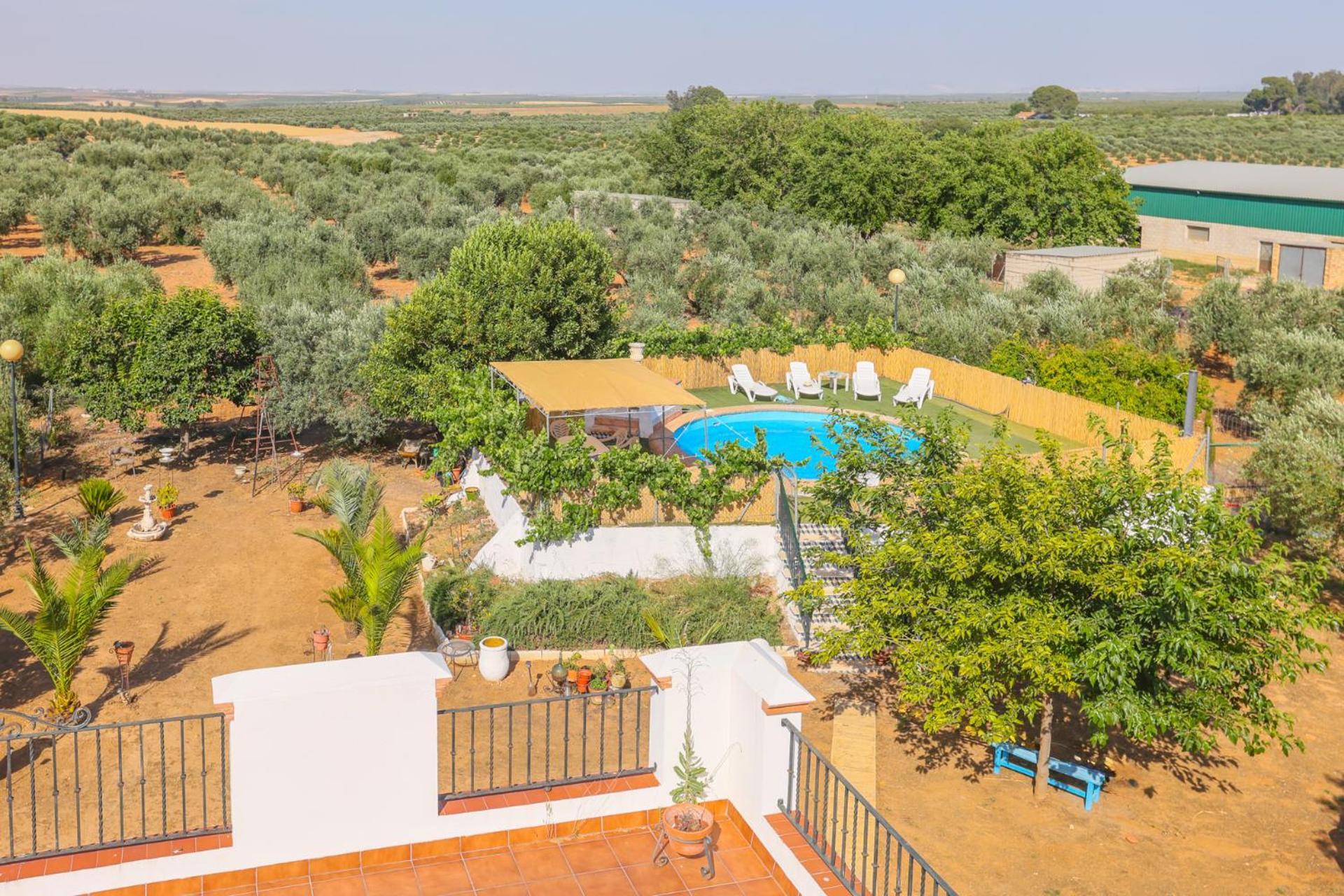 Casa Rural Los Miradores マルチェナ エクステリア 写真